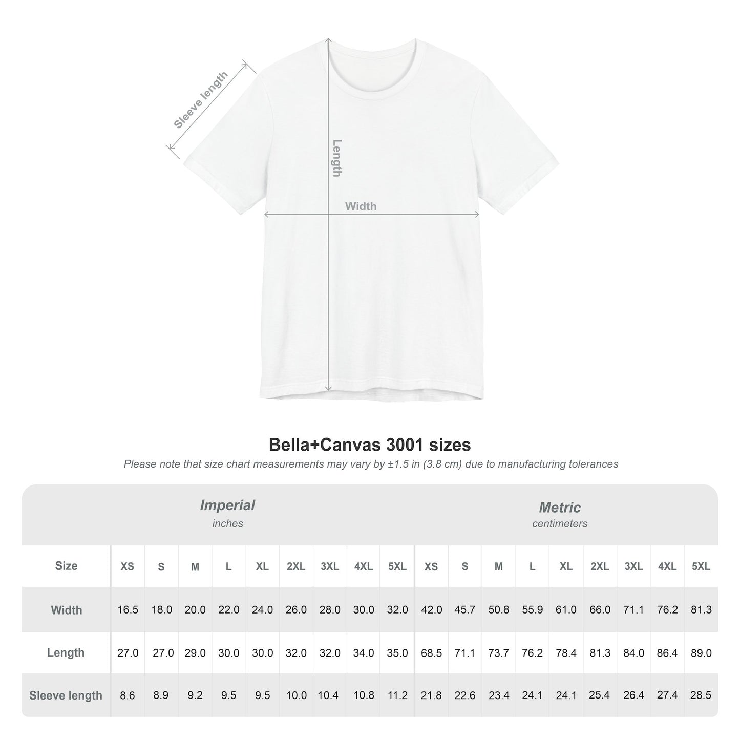 Accepted in the Beloved Shirt, Christian Tee, Bible Verse Tee, Faith, Church Shirt