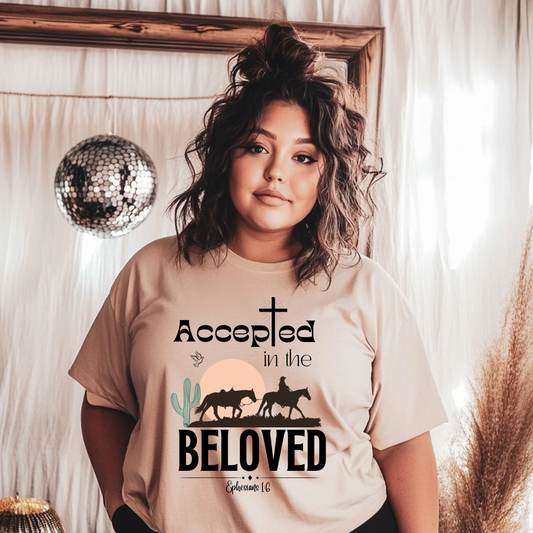 Accepted in the Beloved Shirt, Bella Canvas, Christian, Bible, Faith, Church (09)