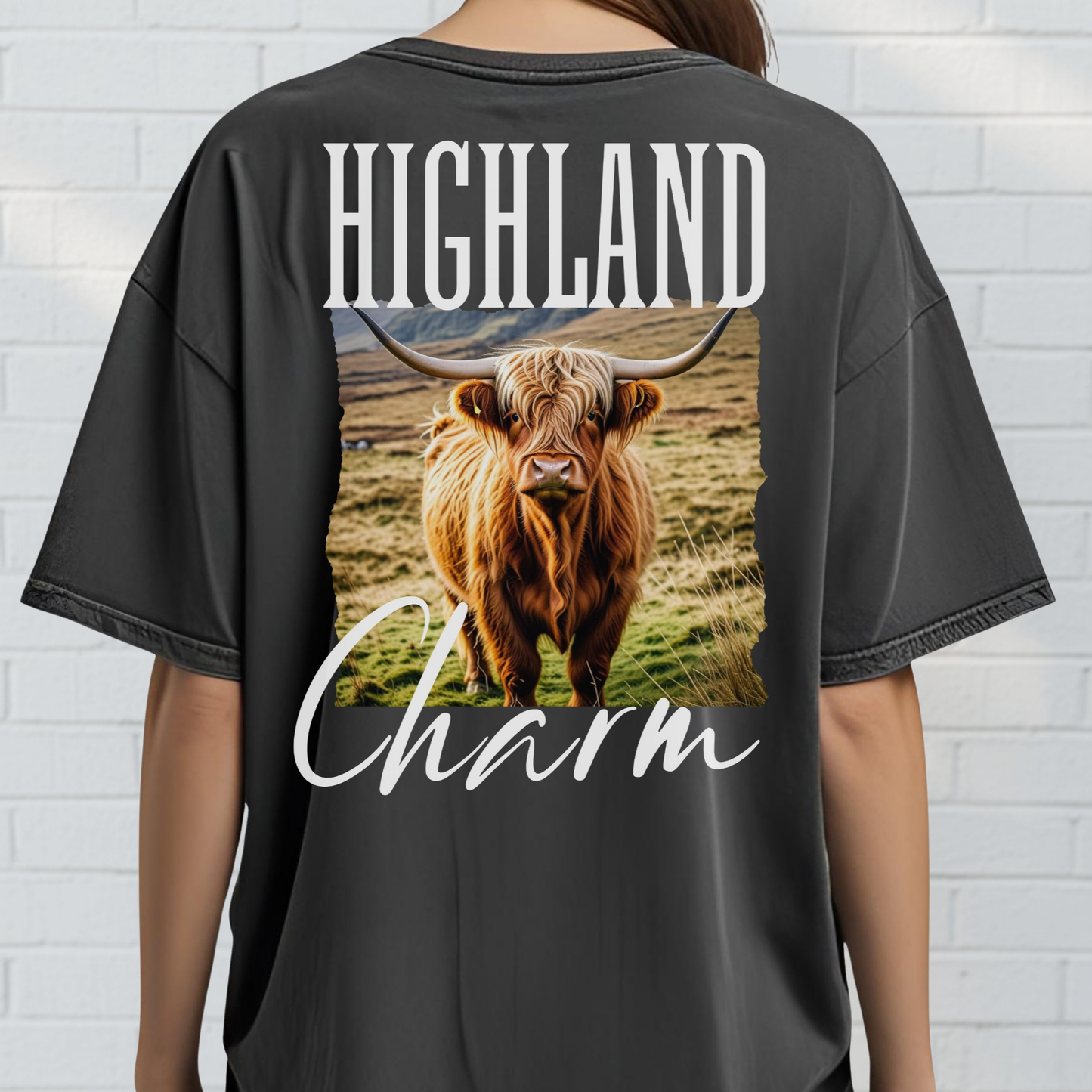 Highland Cow Charm Graphic Shirt, Western T-Shirt